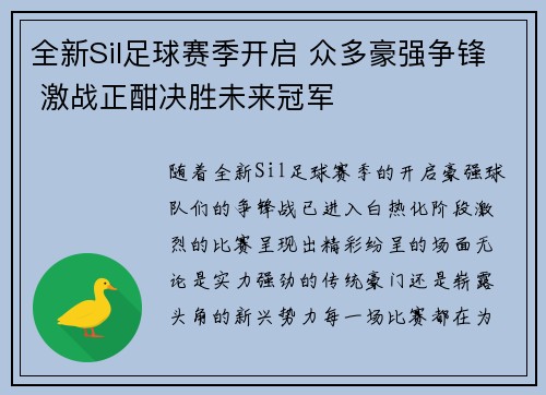 全新Sil足球赛季开启 众多豪强争锋 激战正酣决胜未来冠军