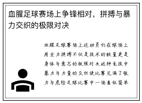 血腥足球赛场上争锋相对，拼搏与暴力交织的极限对决