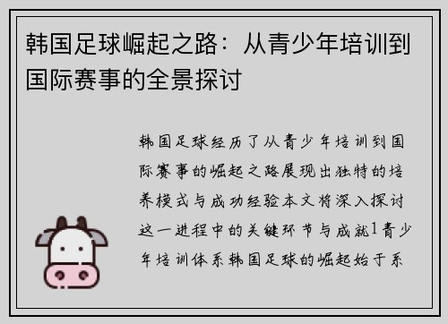 韩国足球崛起之路：从青少年培训到国际赛事的全景探讨