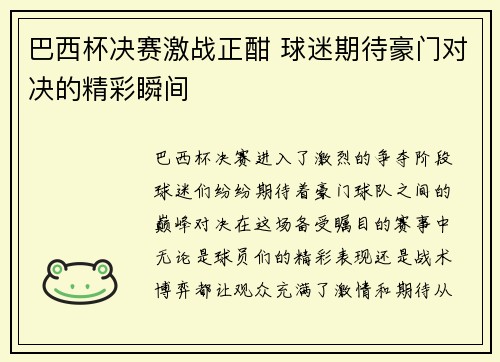 巴西杯决赛激战正酣 球迷期待豪门对决的精彩瞬间