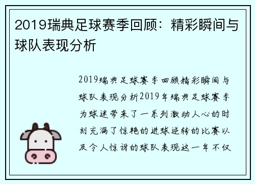 2019瑞典足球赛季回顾：精彩瞬间与球队表现分析