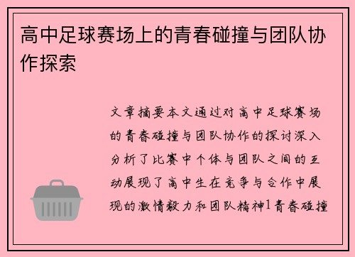 高中足球赛场上的青春碰撞与团队协作探索